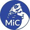 News mic